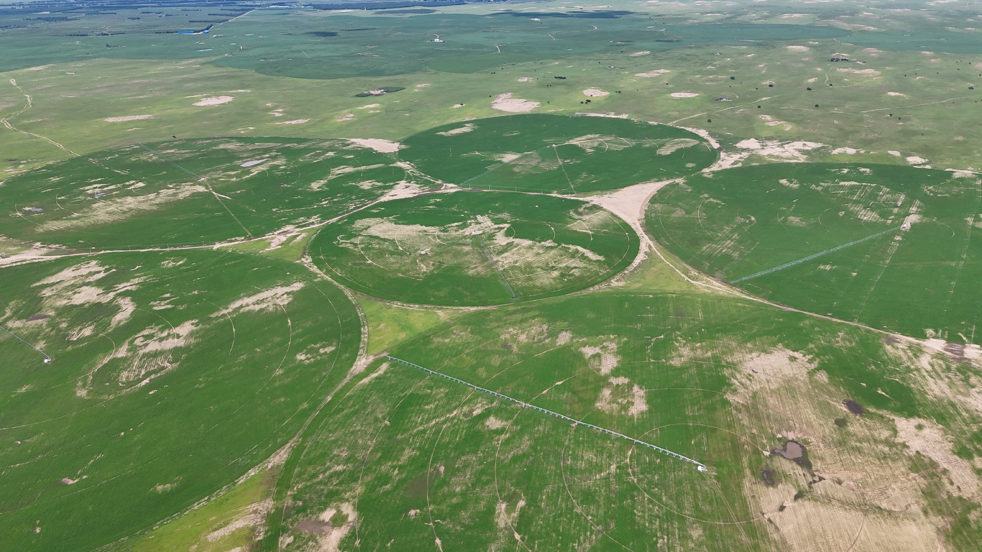 DJI_20240814110320_0044_D.JPG